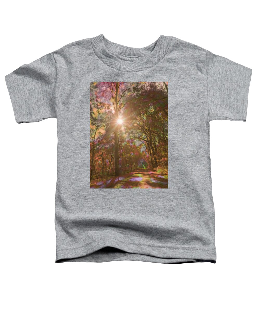 Rainbow Toddler T-Shirt featuring the photograph A Walk Through the Rainbow Forest by Beth Venner