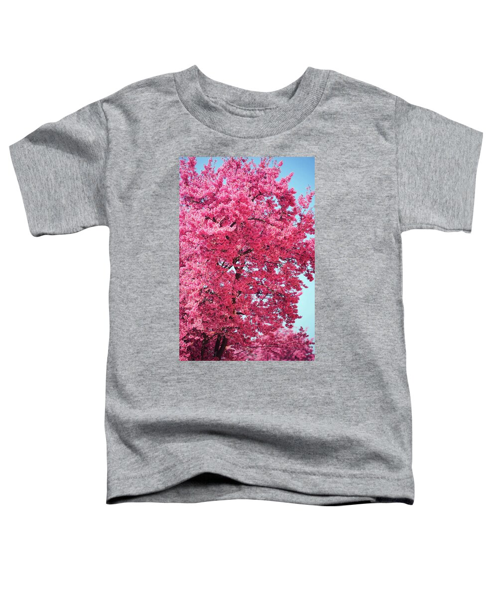 Jenny Rainbow Fine Art Photography Toddler T-Shirt featuring the photograph Abundant Pink Bloom of Prunus Tree by Jenny Rainbow
