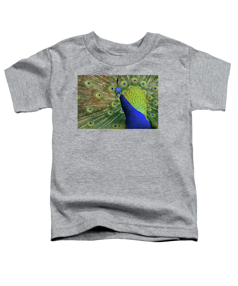 Peacock Toddler T-Shirt featuring the photograph Admiration by Evelyn Tambour
