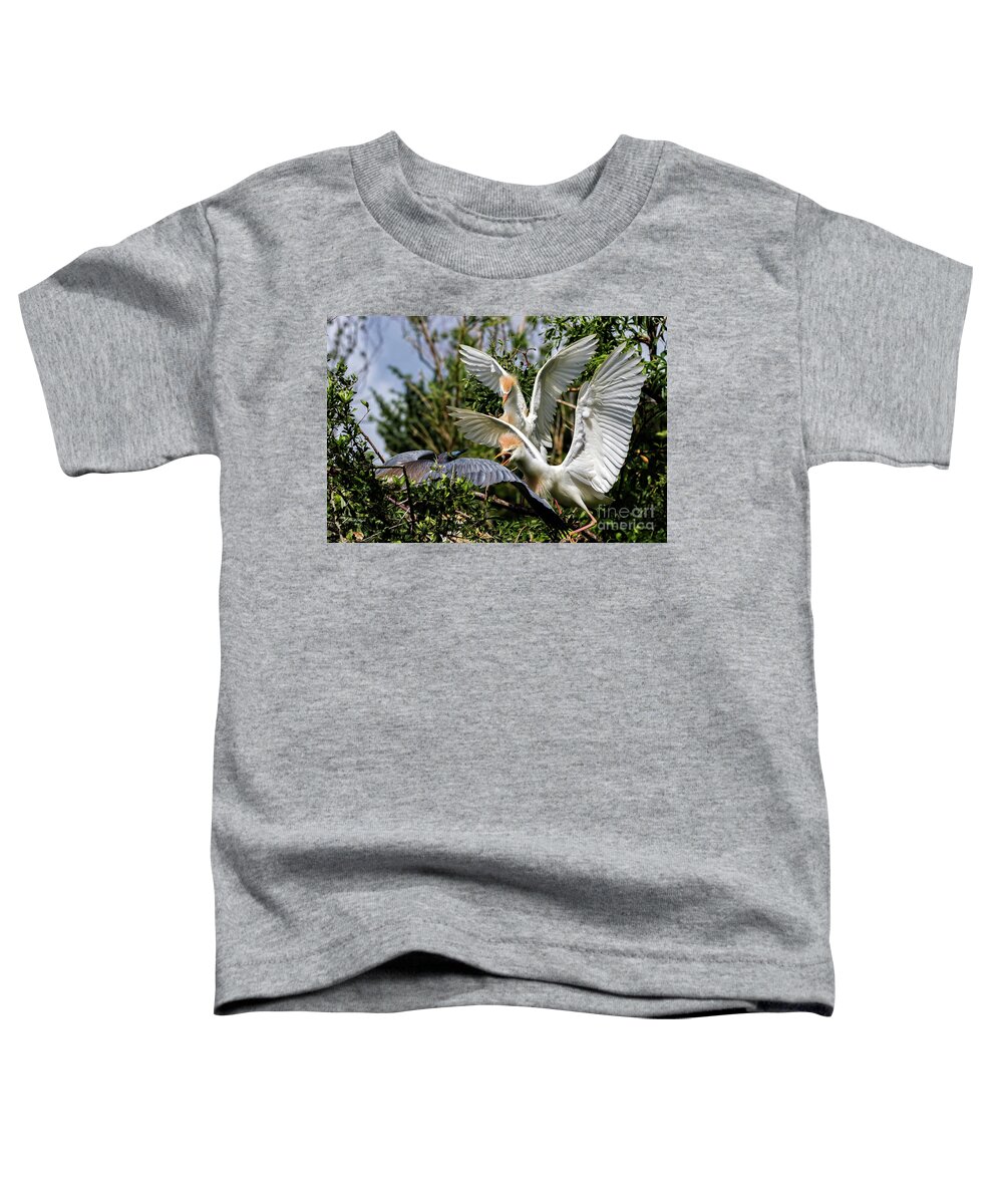 Egrets Toddler T-Shirt featuring the photograph Aggression Between Cattle Egrets and Tricolored Heron by DB Hayes