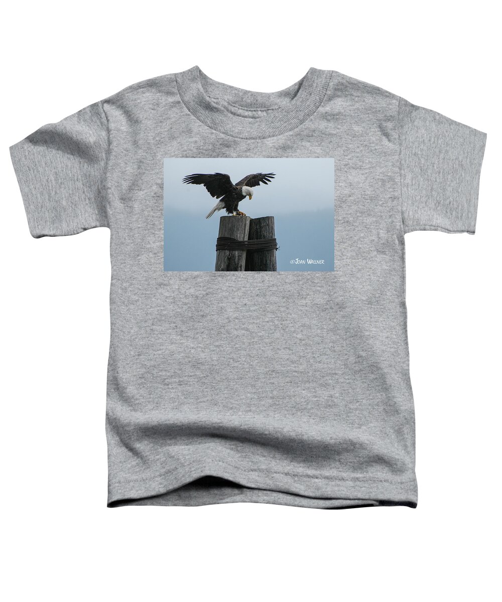 Seward Toddler T-Shirt featuring the photograph Alaskan Bald Eagle by Joan Wallner