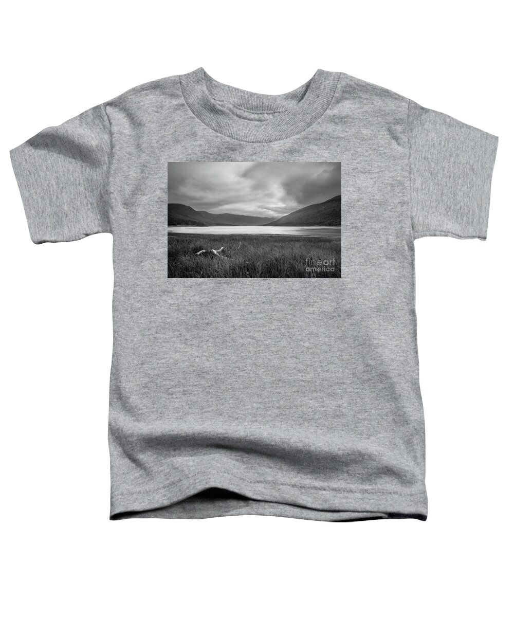 Alaska Toddler T-Shirt featuring the photograph Alaskan Driftwood by Paul Quinn