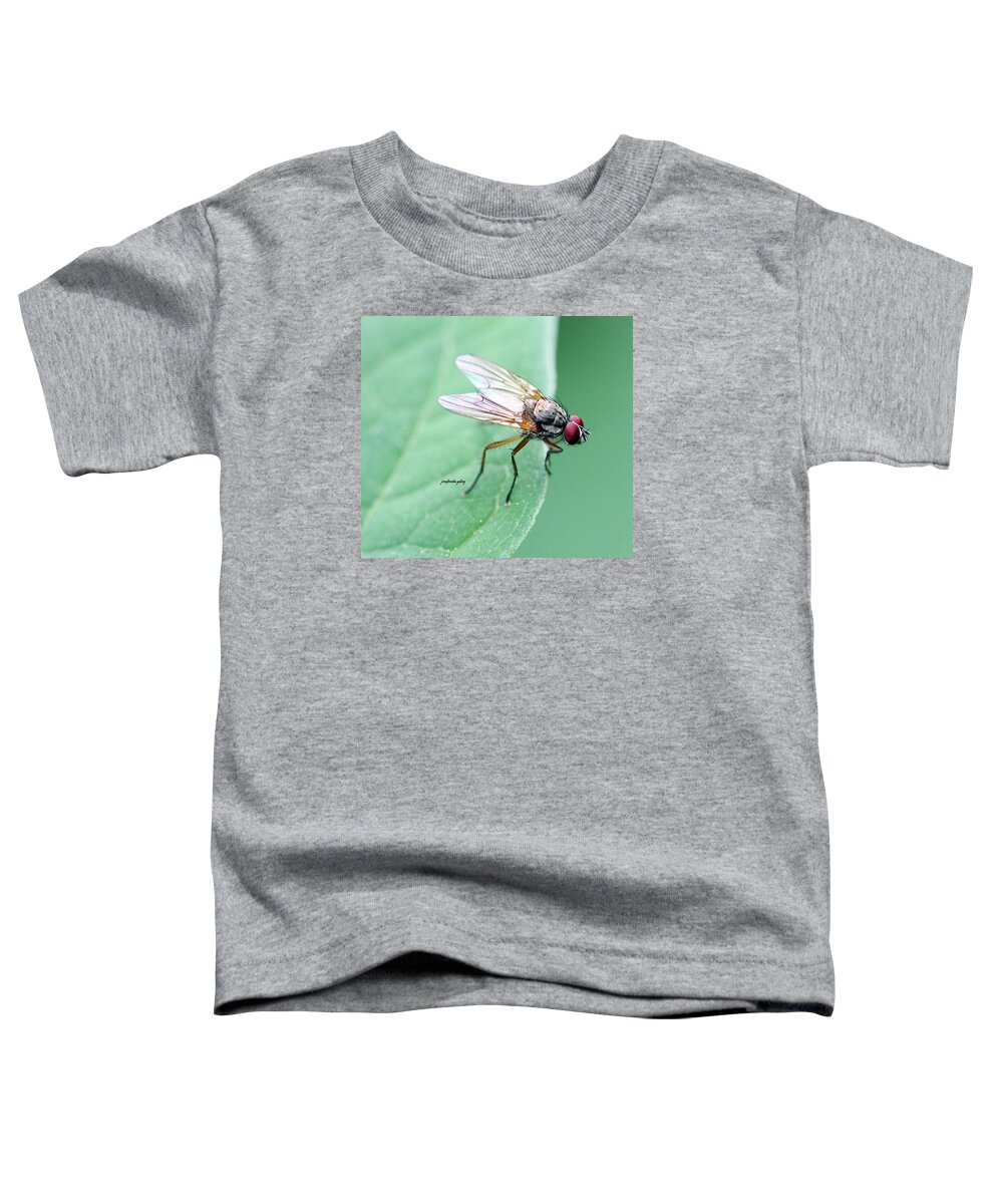 Insects Toddler T-Shirt featuring the photograph All Eyes by Jennifer Robin