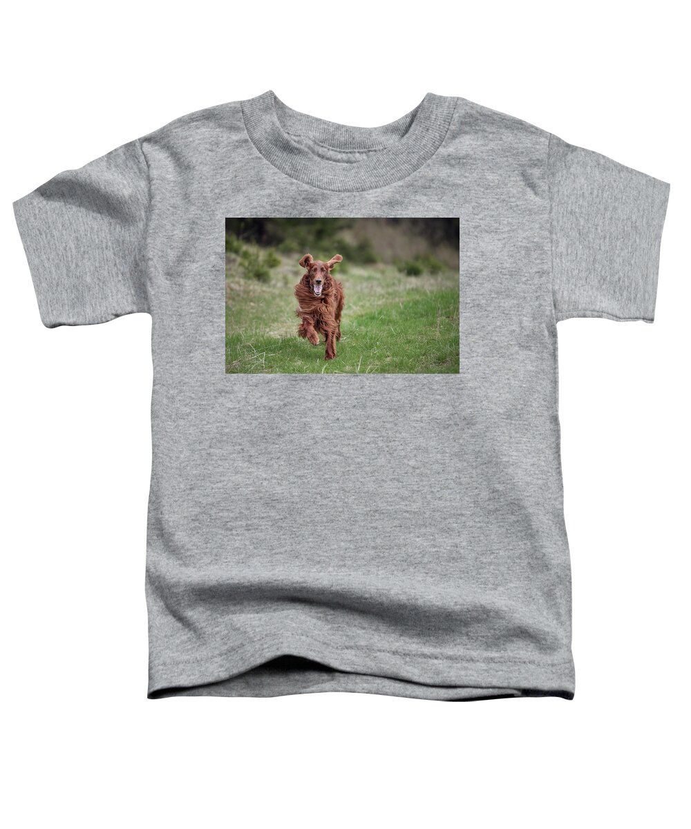 Dog Toddler T-Shirt featuring the photograph Allegro's march by Robert Krajnc