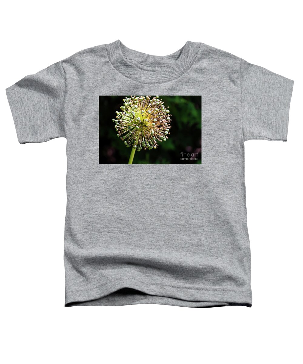 Allium Gone By Toddler T-Shirt featuring the photograph Allium Gone By by Elizabeth Dow