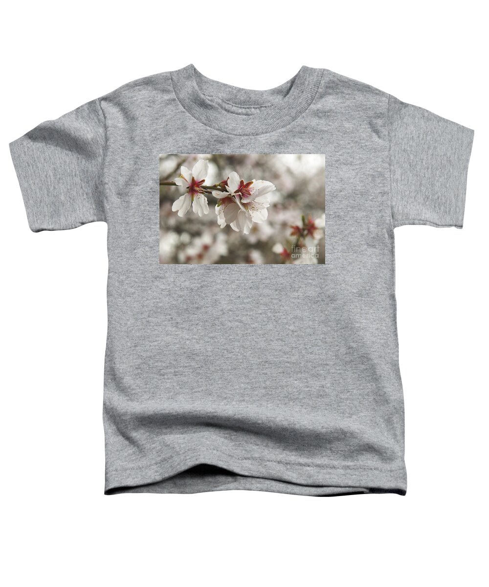 Almond Toddler T-Shirt featuring the photograph Almond Blossoms by Shahar Tamir