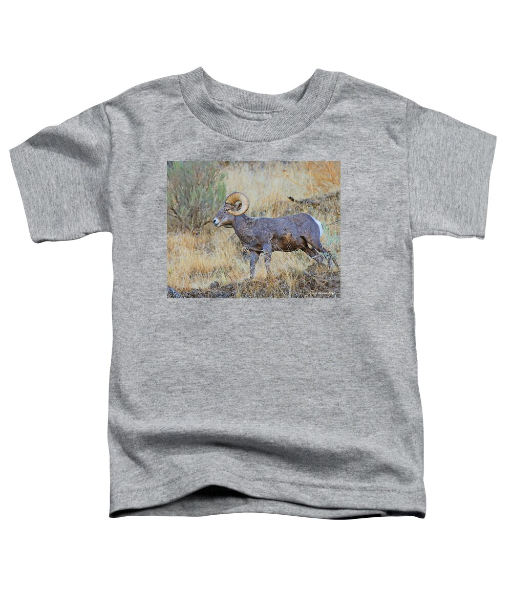 Landscape Toddler T-Shirt featuring the photograph Almost There by Steve Warnstaff