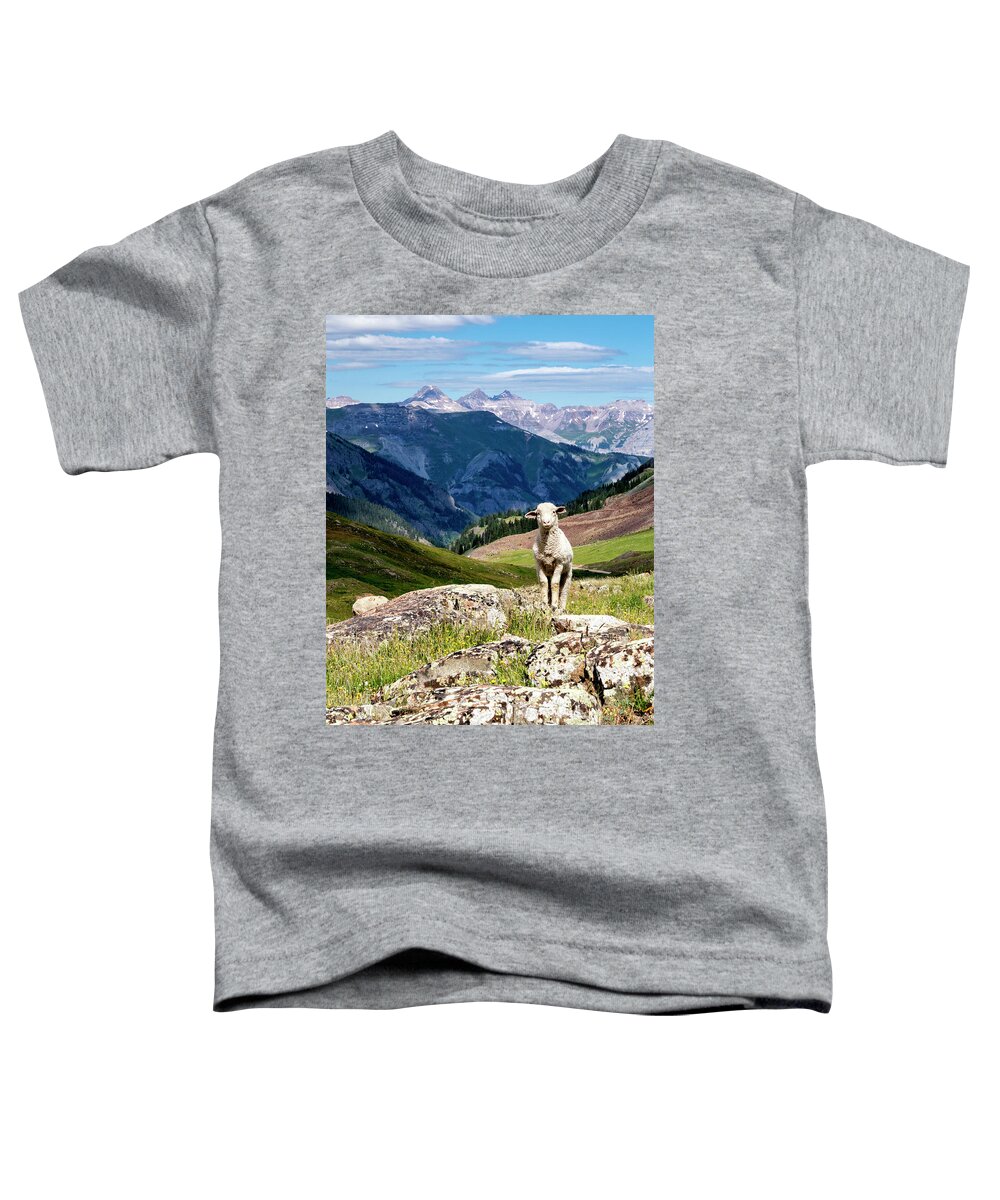 Lamb Toddler T-Shirt featuring the photograph Alpine Lamb by David Soldano