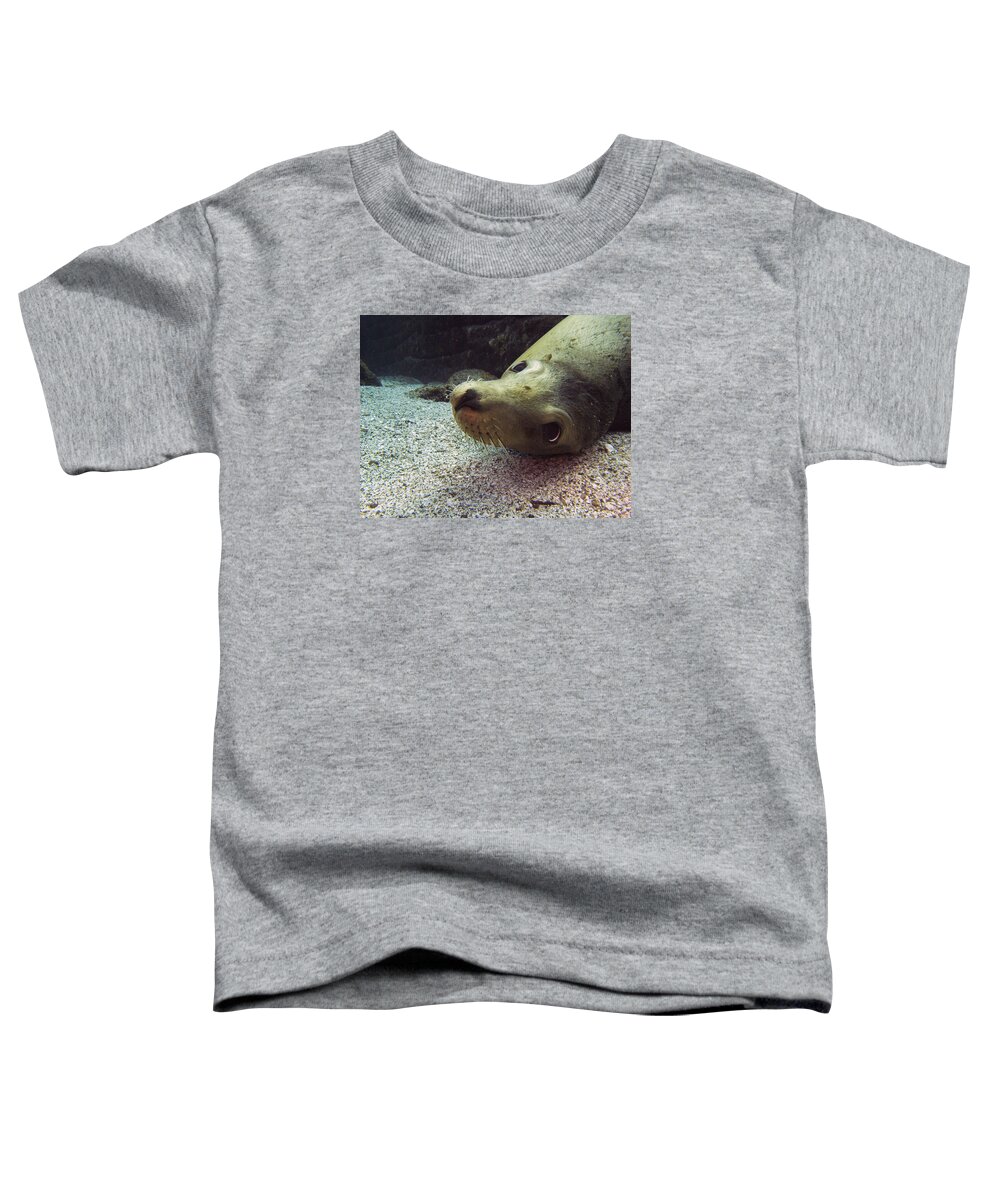 Underwater Toddler T-Shirt featuring the photograph Am I cute? asks the sea lion by Matt Swinden