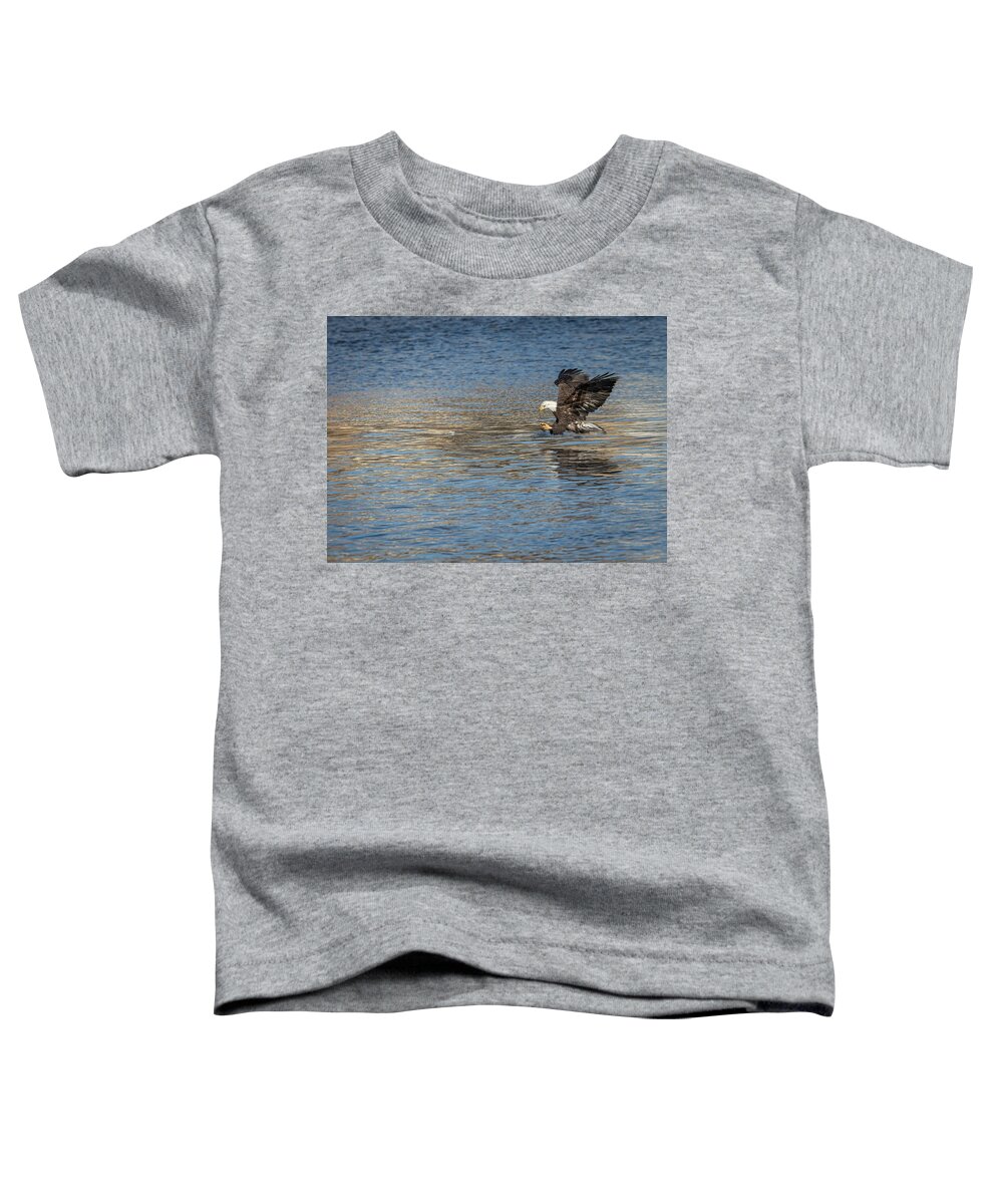 American Bald Eagle Toddler T-Shirt featuring the photograph American Bald Eagle 2017-10 by Thomas Young