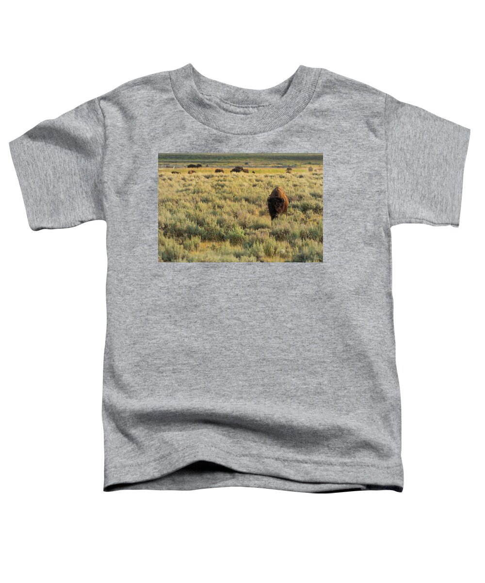 American Bison Toddler T-Shirt featuring the photograph American Bison by Sebastian Musial