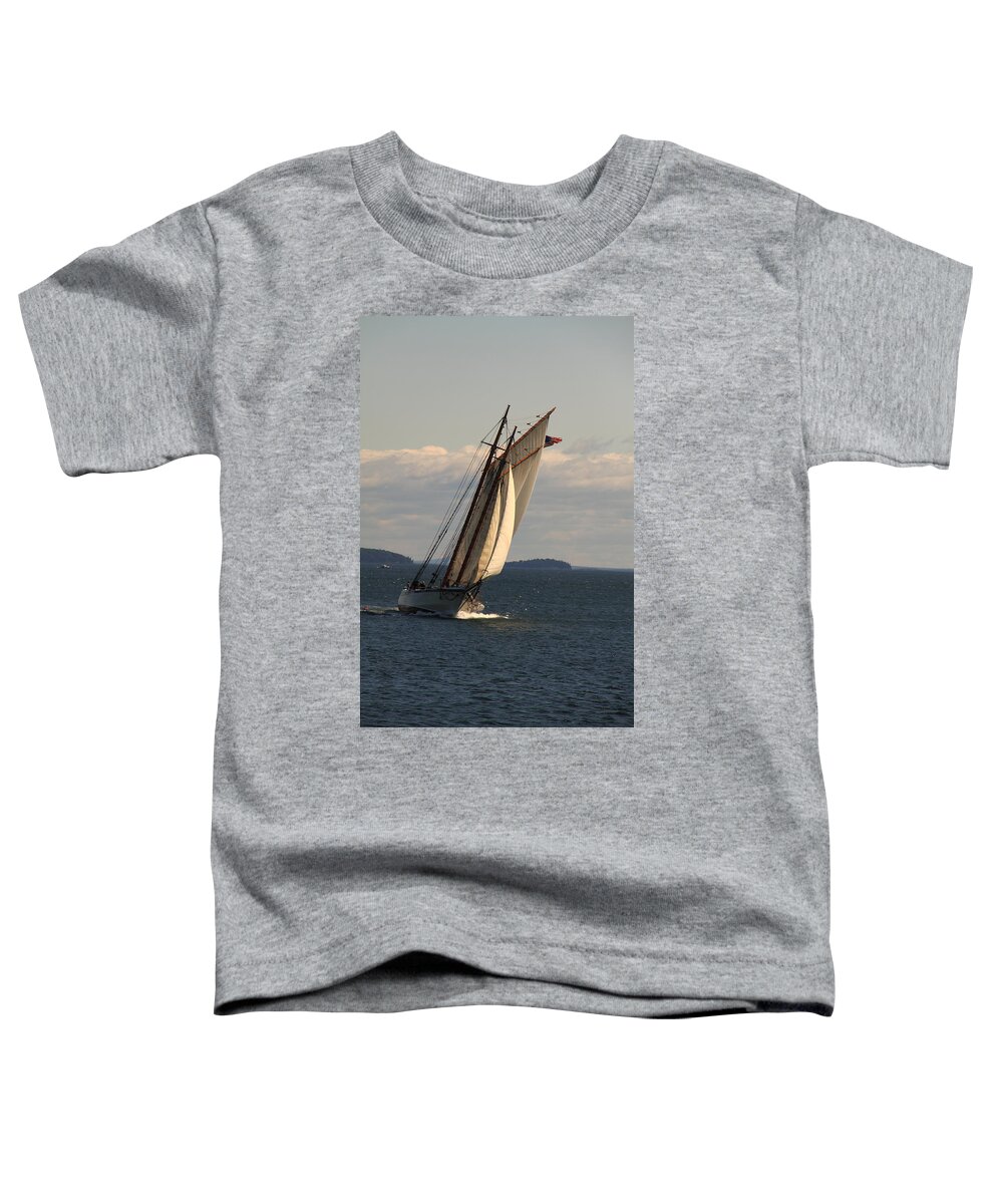 Seascape Toddler T-Shirt featuring the photograph American Eagle In A Good Wind by Doug Mills