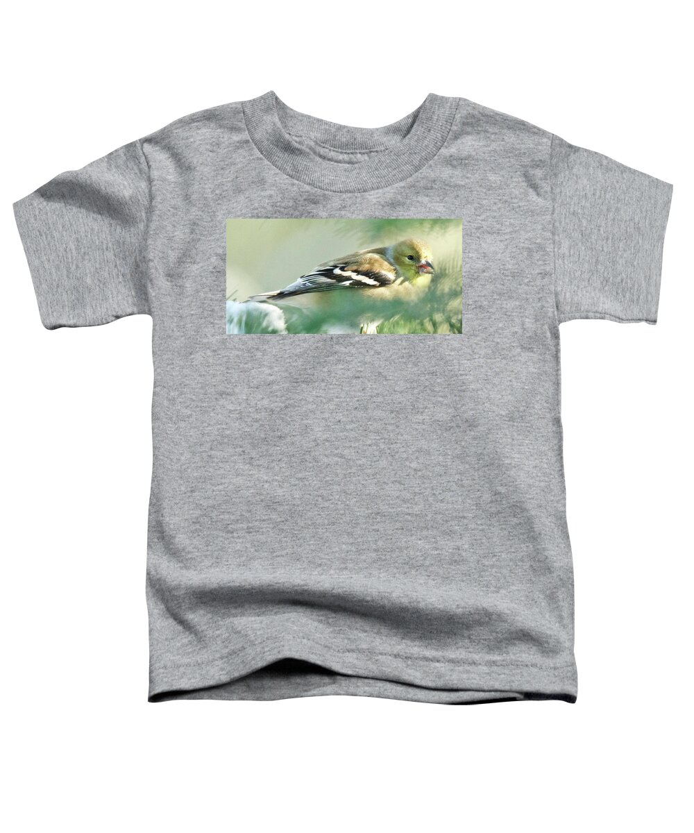 American Toddler T-Shirt featuring the photograph American Goldfinch Winter by Michael Peychich
