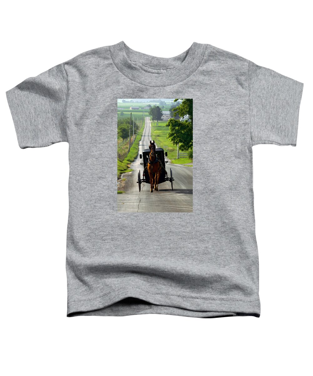 Lawrence Toddler T-Shirt featuring the photograph Amish Morning Commute by Lawrence Boothby
