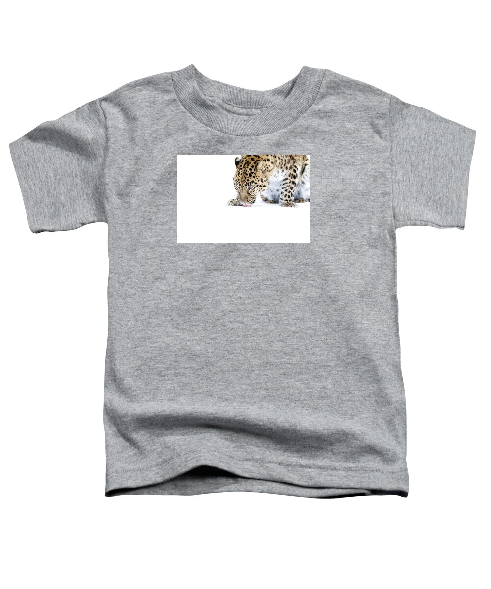 Amur Leopard Toddler T-Shirt featuring the photograph Amur Leopard by Steve McKinzie