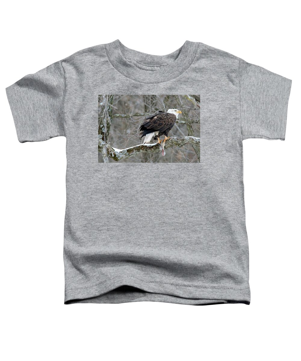 Bald Eagle Toddler T-Shirt featuring the photograph An Eagles Catch by Brook Burling