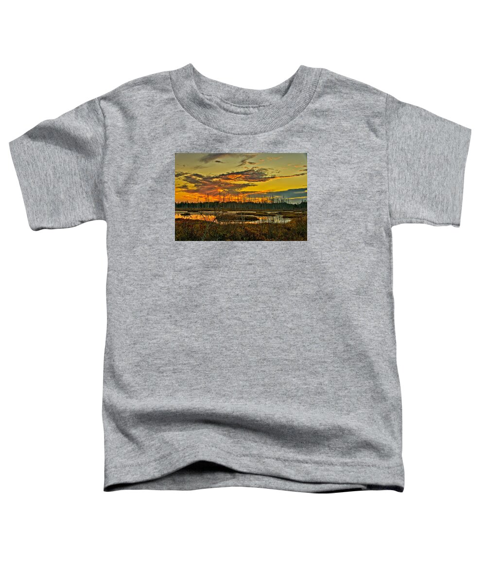Fall Toddler T-Shirt featuring the photograph An November Sunset in the Pines by Louis Dallara