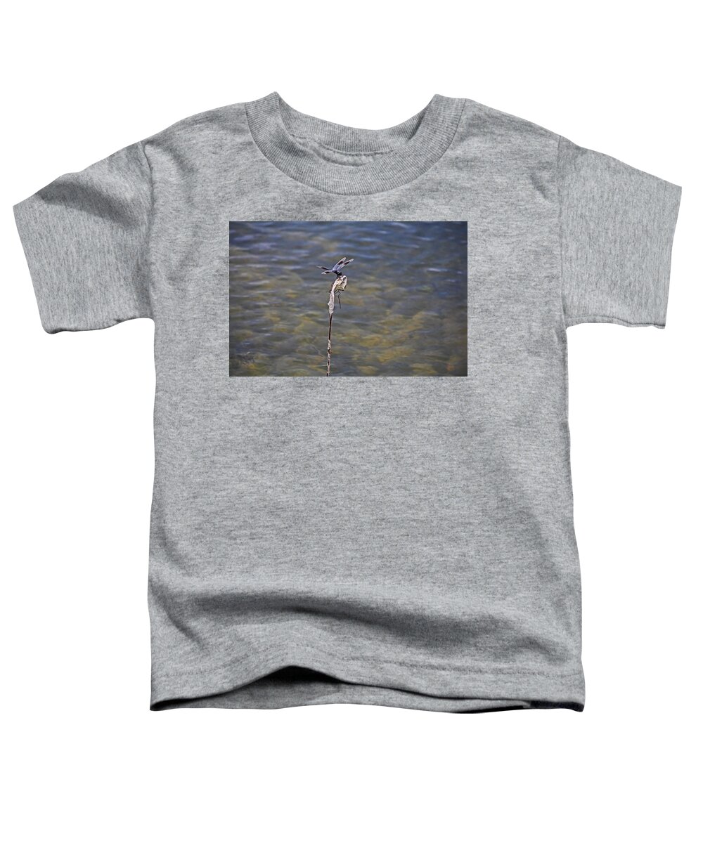 Dragonfly Toddler T-Shirt featuring the photograph An Opportune Moment by Michiale Schneider