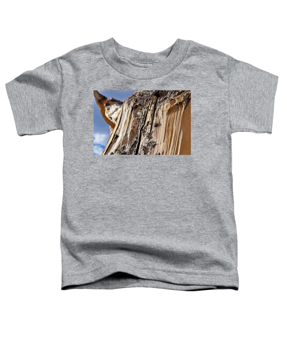 Great Basin National Park Toddler T-Shirt featuring the photograph Ancient Bristlecone Pine Detail by Kyle Hanson