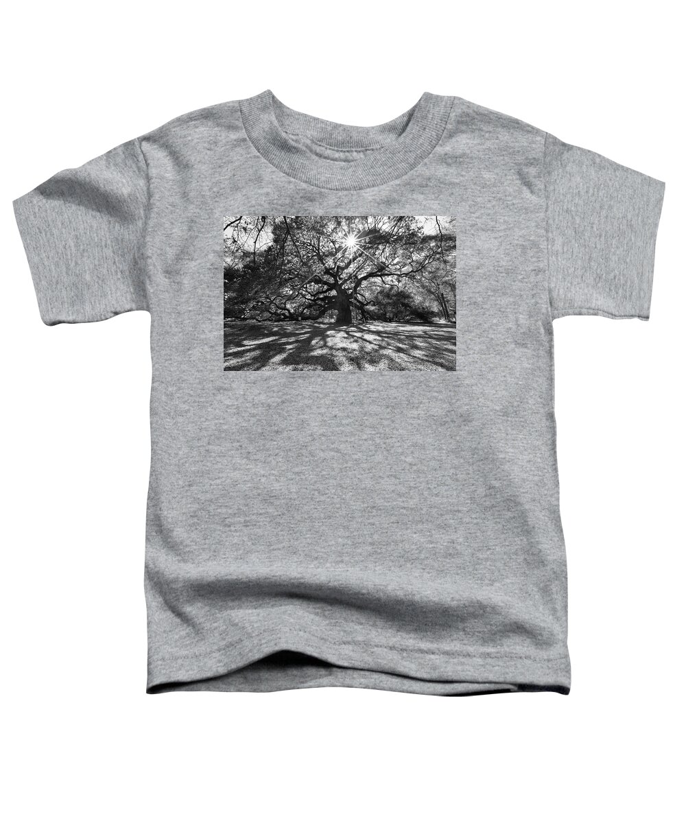 South Carolina Toddler T-Shirt featuring the photograph Angel Oak Starbusrt by Nancy Dunivin