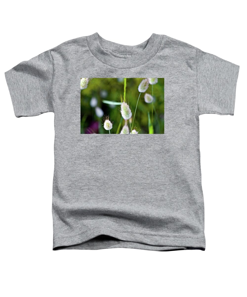 Hare's Tail Toddler T-Shirt featuring the photograph Hare's Tail Grass by Miroslava Jurcik