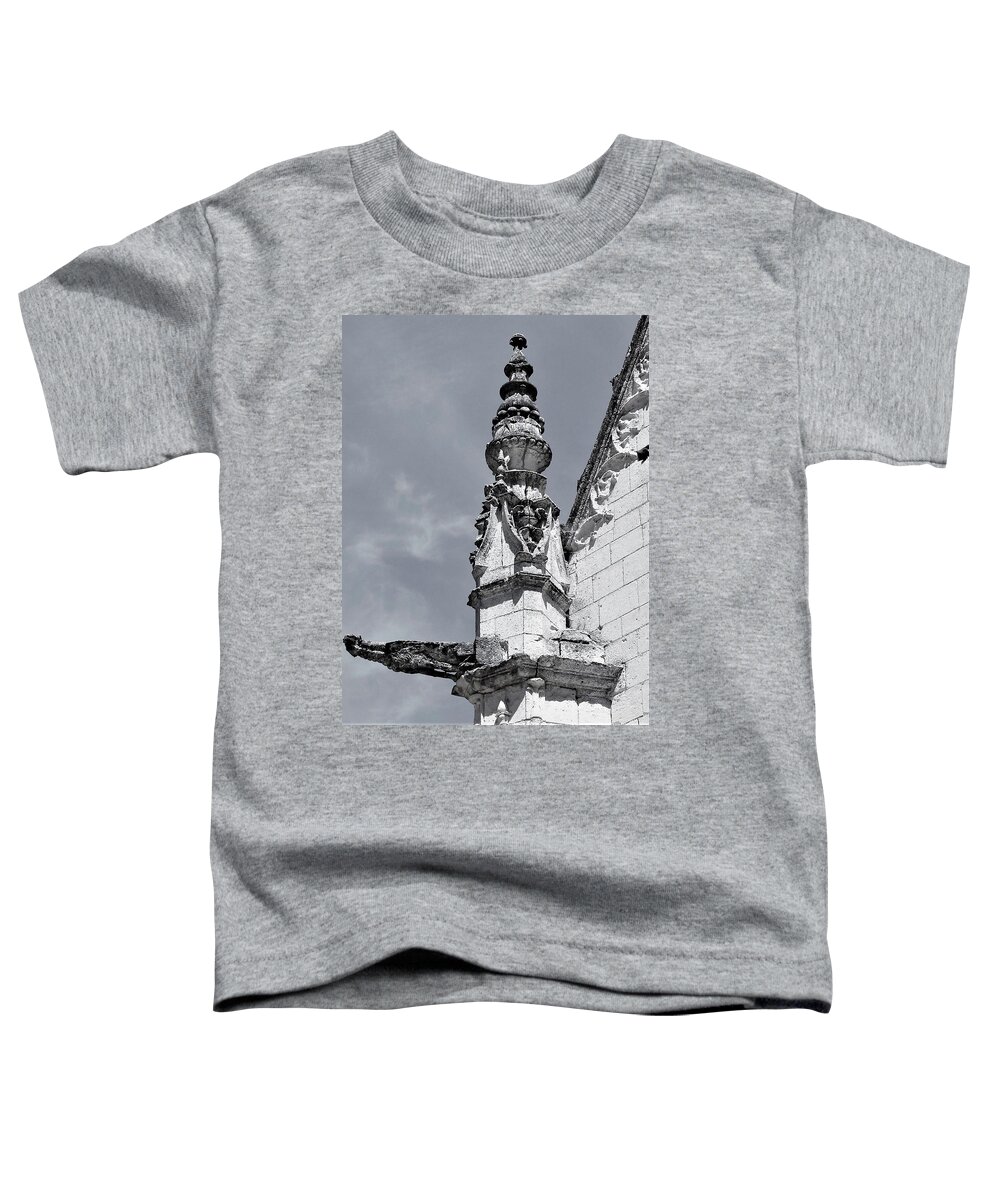 Architecture Toddler T-Shirt featuring the photograph Art and History by Cristina Stefan