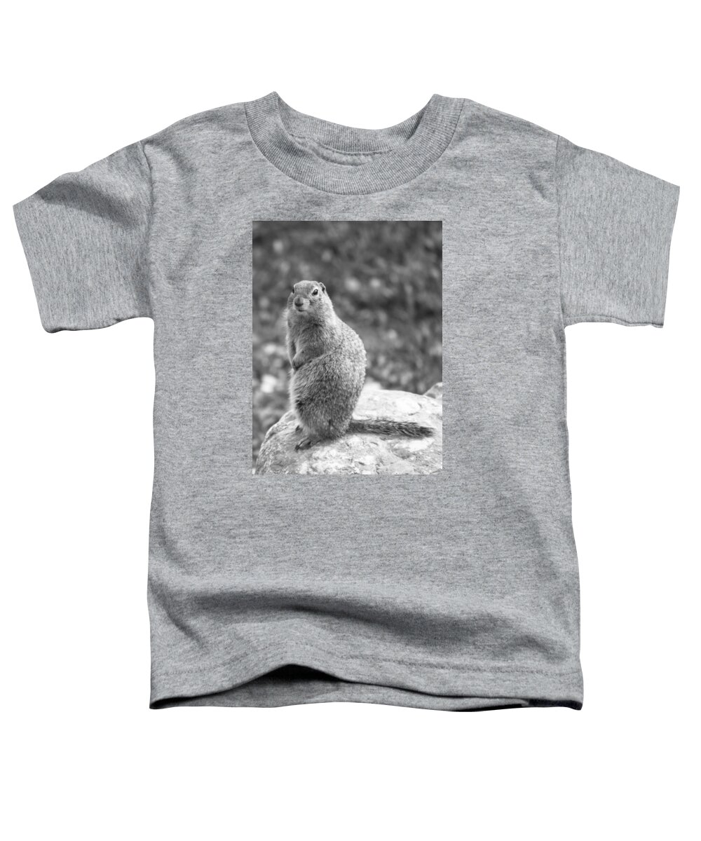 Alaska Toddler T-Shirt featuring the photograph Arctic Ground Squirrel by Ian Johnson
