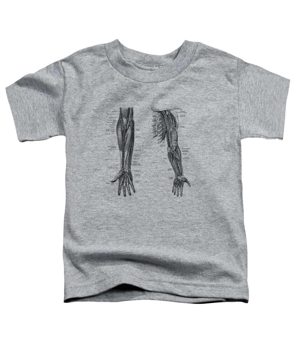 Arm Anatomy Toddler T-Shirt featuring the drawing Arm and Hand Diagram - Dual View - Vintage Anatomy by Vintage Anatomy Prints