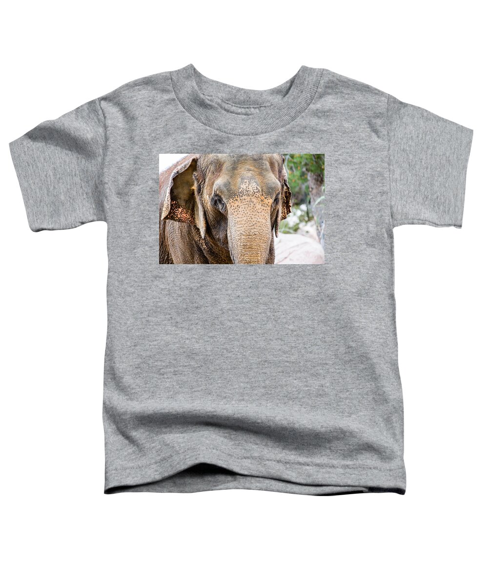 El Paso Toddler T-Shirt featuring the photograph Asian Elephant by SR Green