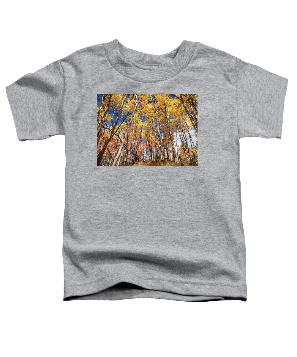 Aspen Trees Toddler T-Shirt featuring the photograph Aspen grove with peak autumn color by Vishwanath Bhat