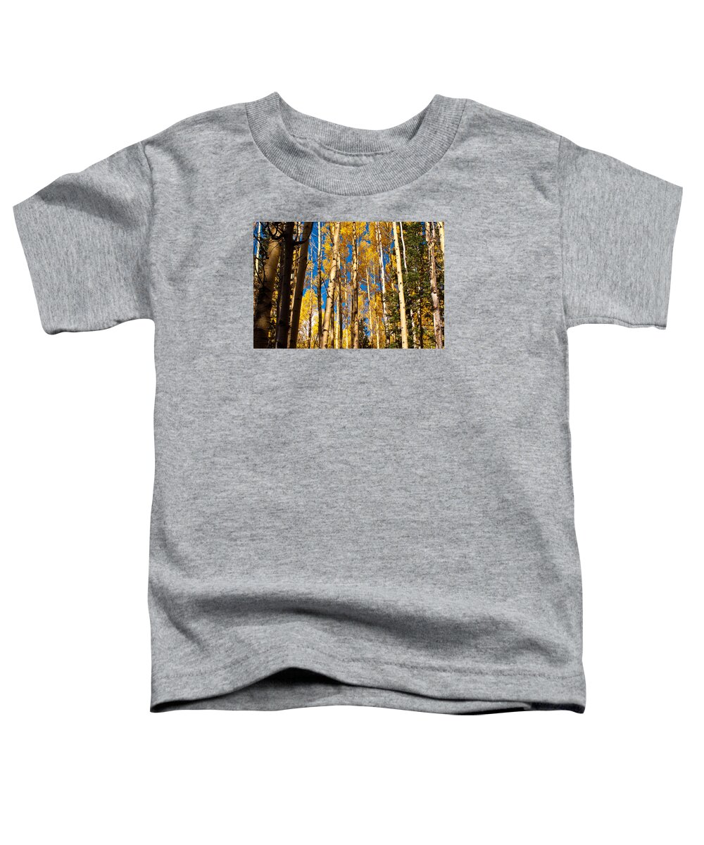 Aspens Toddler T-Shirt featuring the photograph Aspens in Santa Fe by James Gay