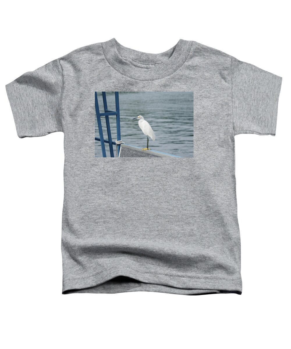 Egret Toddler T-Shirt featuring the photograph At the Edge by Kim Hojnacki