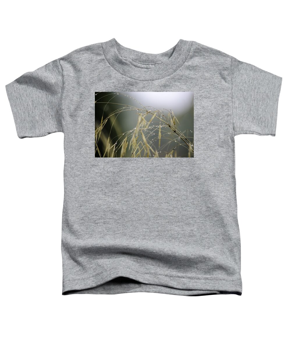 Autumn Toddler T-Shirt featuring the photograph Autumn dew on grass by Spikey Mouse Photography