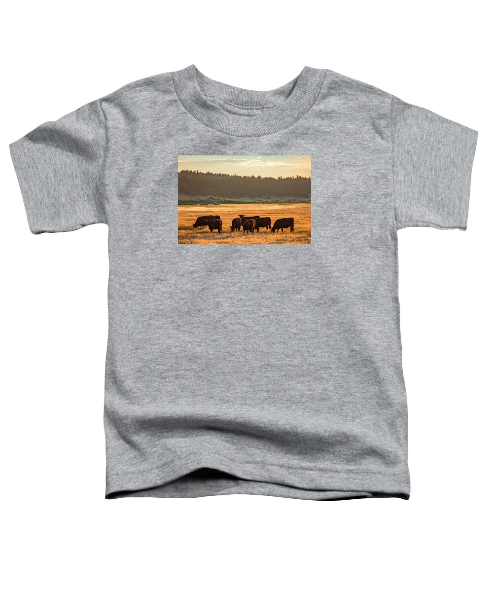 Black Angus Toddler T-Shirt featuring the photograph Autumn Herd by Todd Klassy