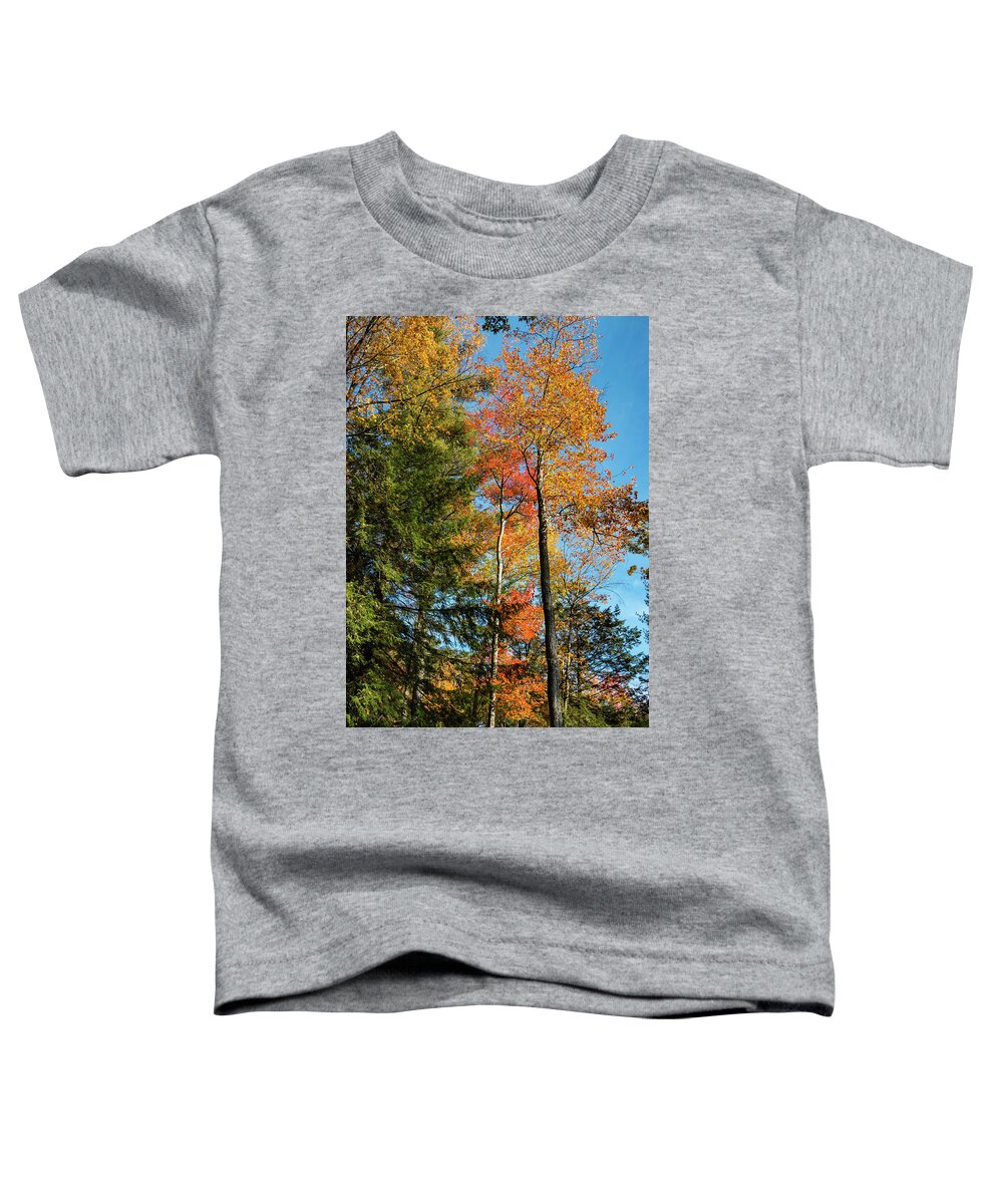 Autumn Toddler T-Shirt featuring the photograph Autumn Trees by Barry Wills