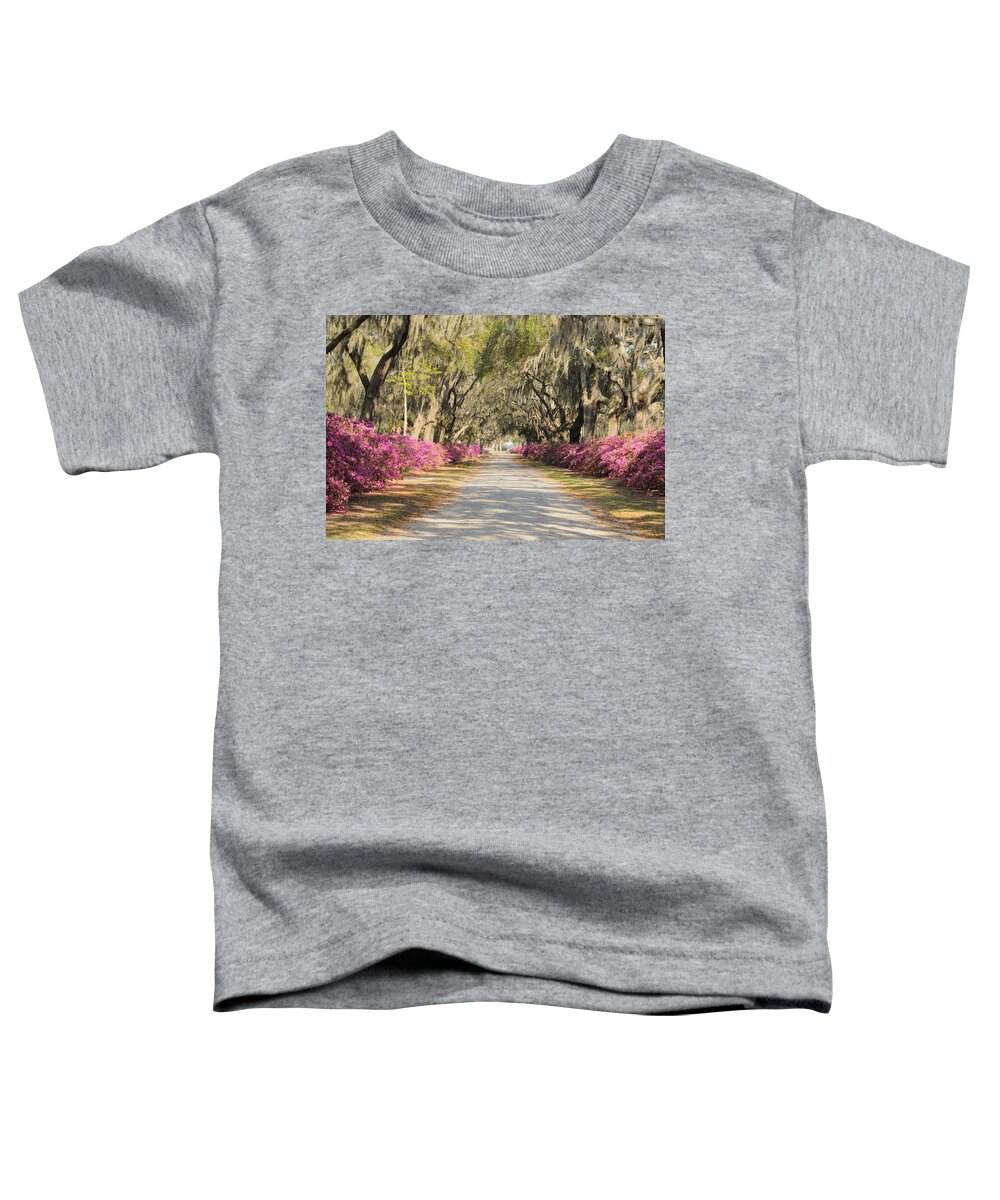 Allee Toddler T-Shirt featuring the photograph azalea lined road in Spring by Bradford Martin