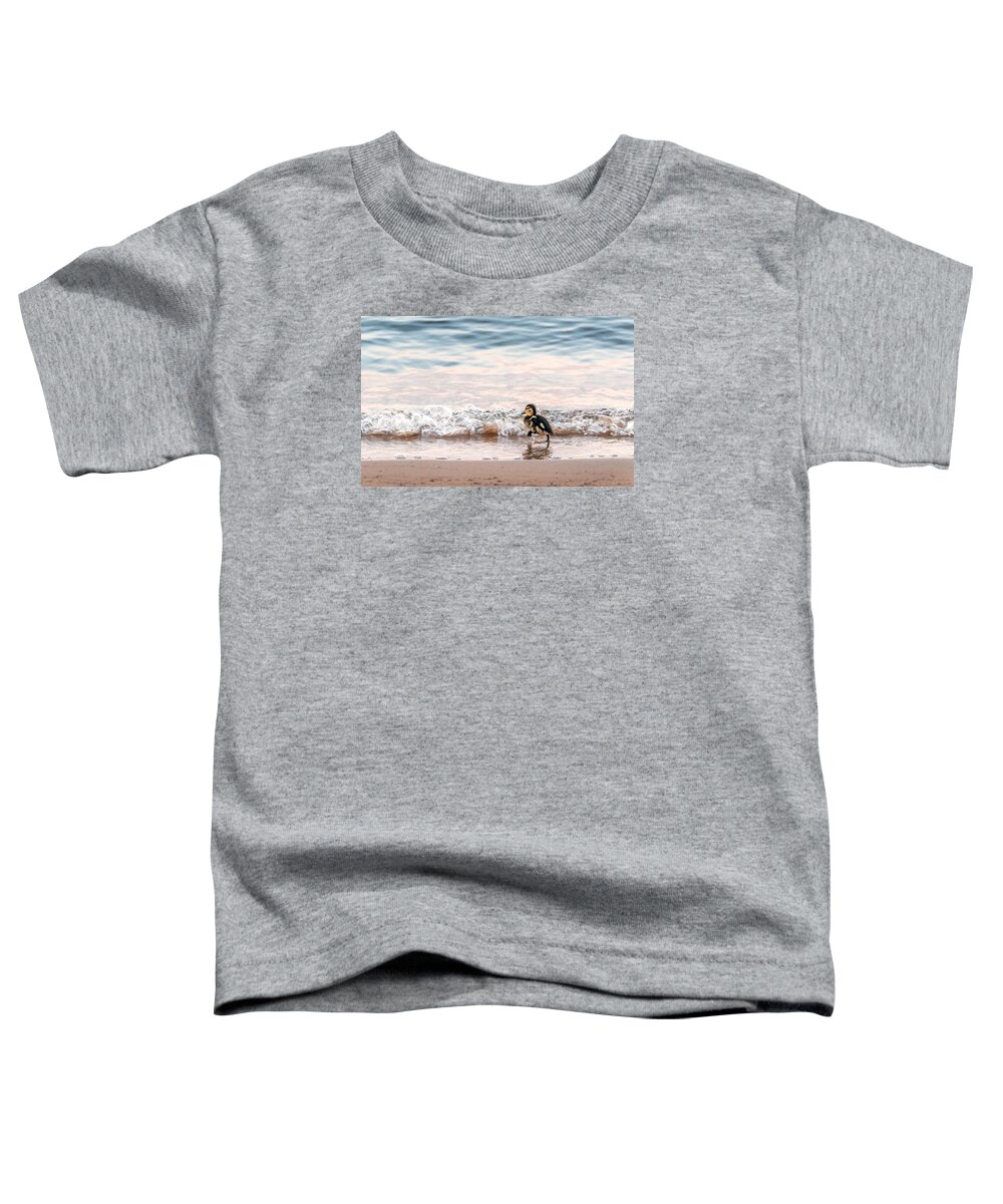 Duck Toddler T-Shirt featuring the photograph Baby duck running on a beach into the waves by Patrick Wolf
