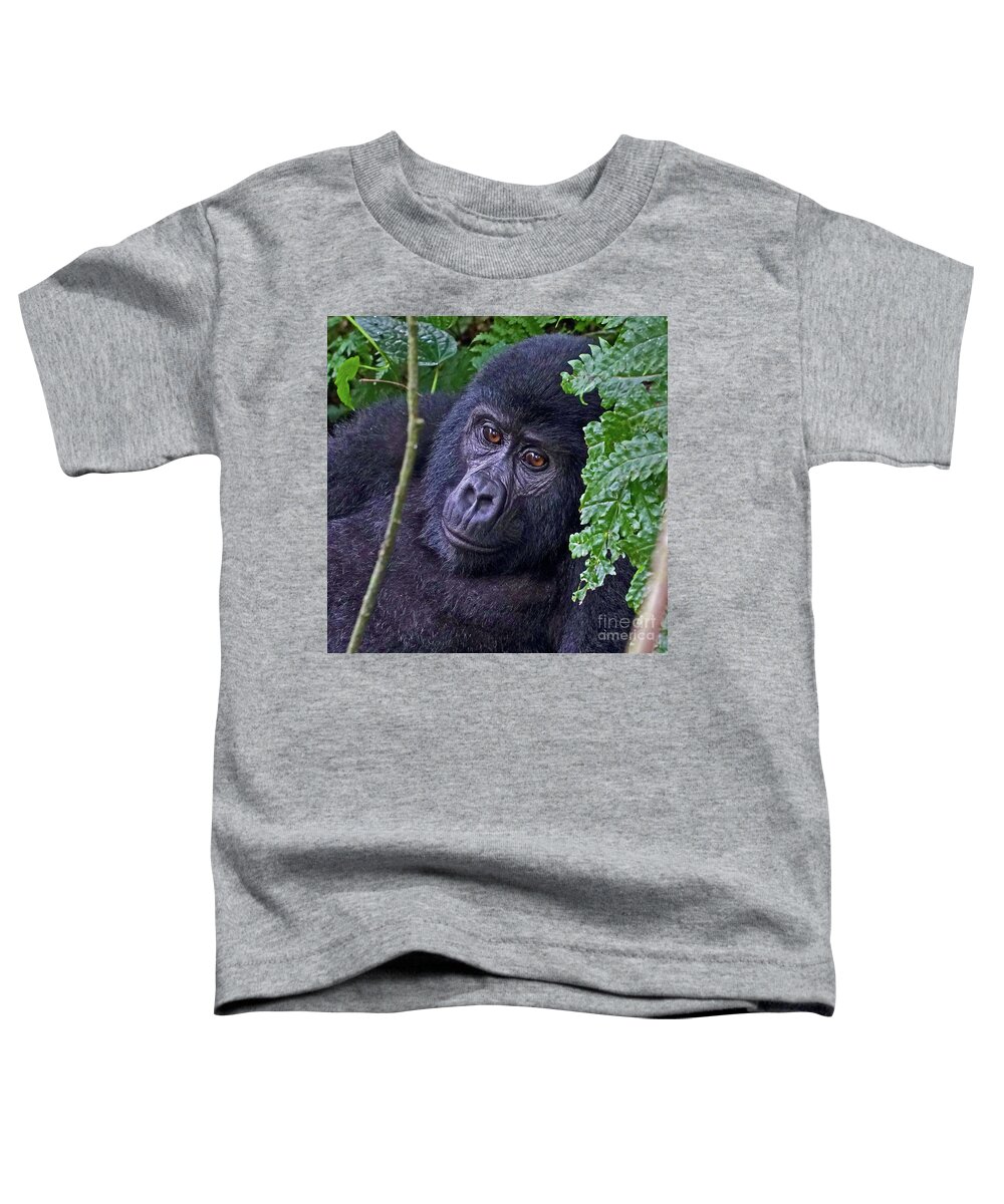 Uganda Toddler T-Shirt featuring the photograph Baby Gorilla by Michael Cinnamond