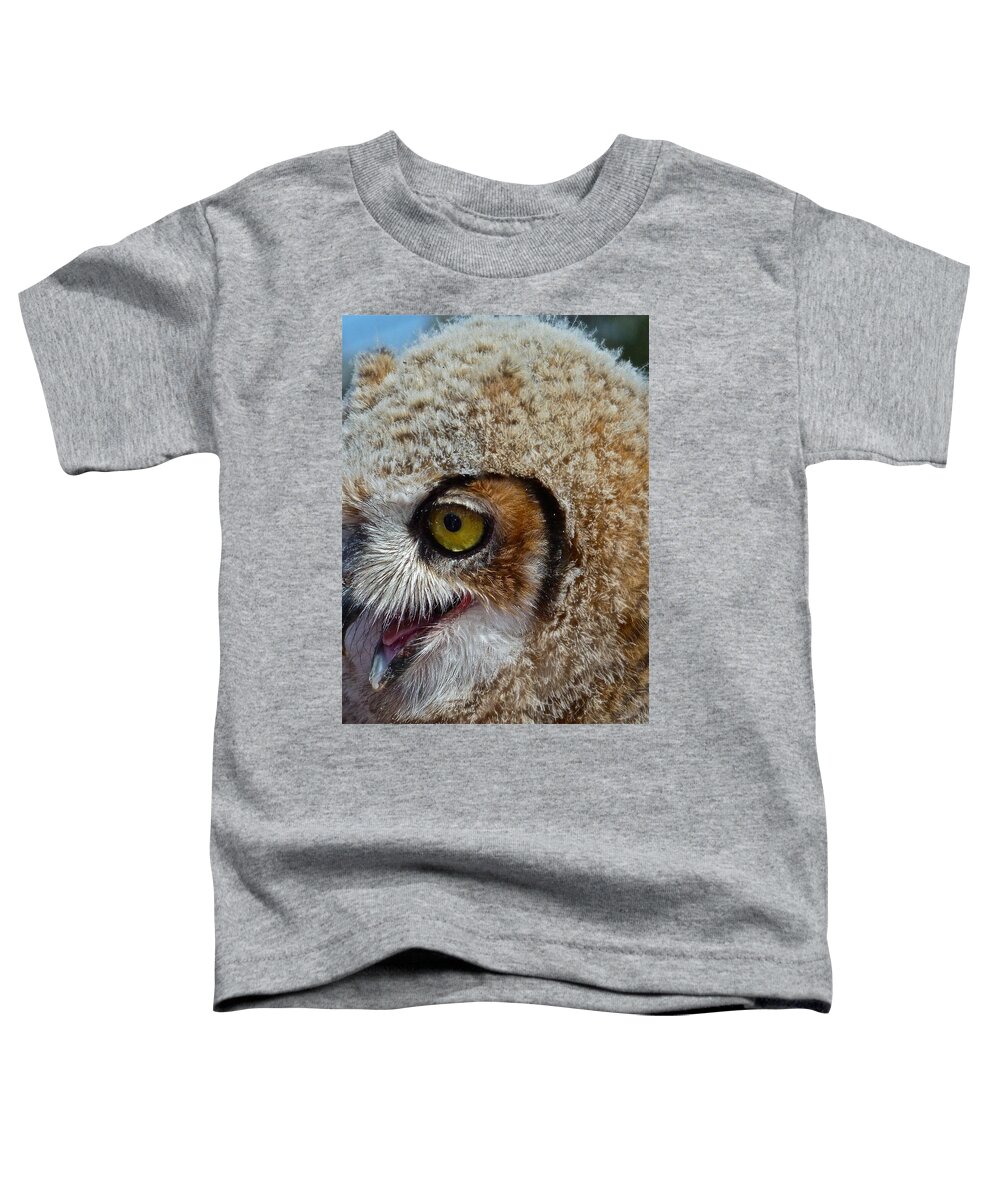 Birds Toddler T-Shirt featuring the photograph Baby Owl by Diana Hatcher