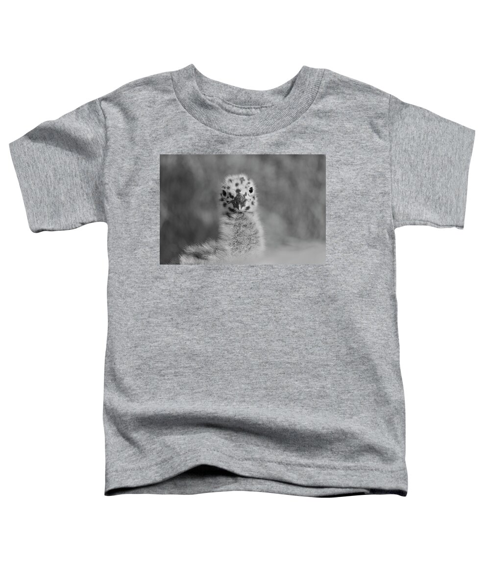 Birds Toddler T-Shirt featuring the photograph Baby Western Seagull Spots by John F Tsumas
