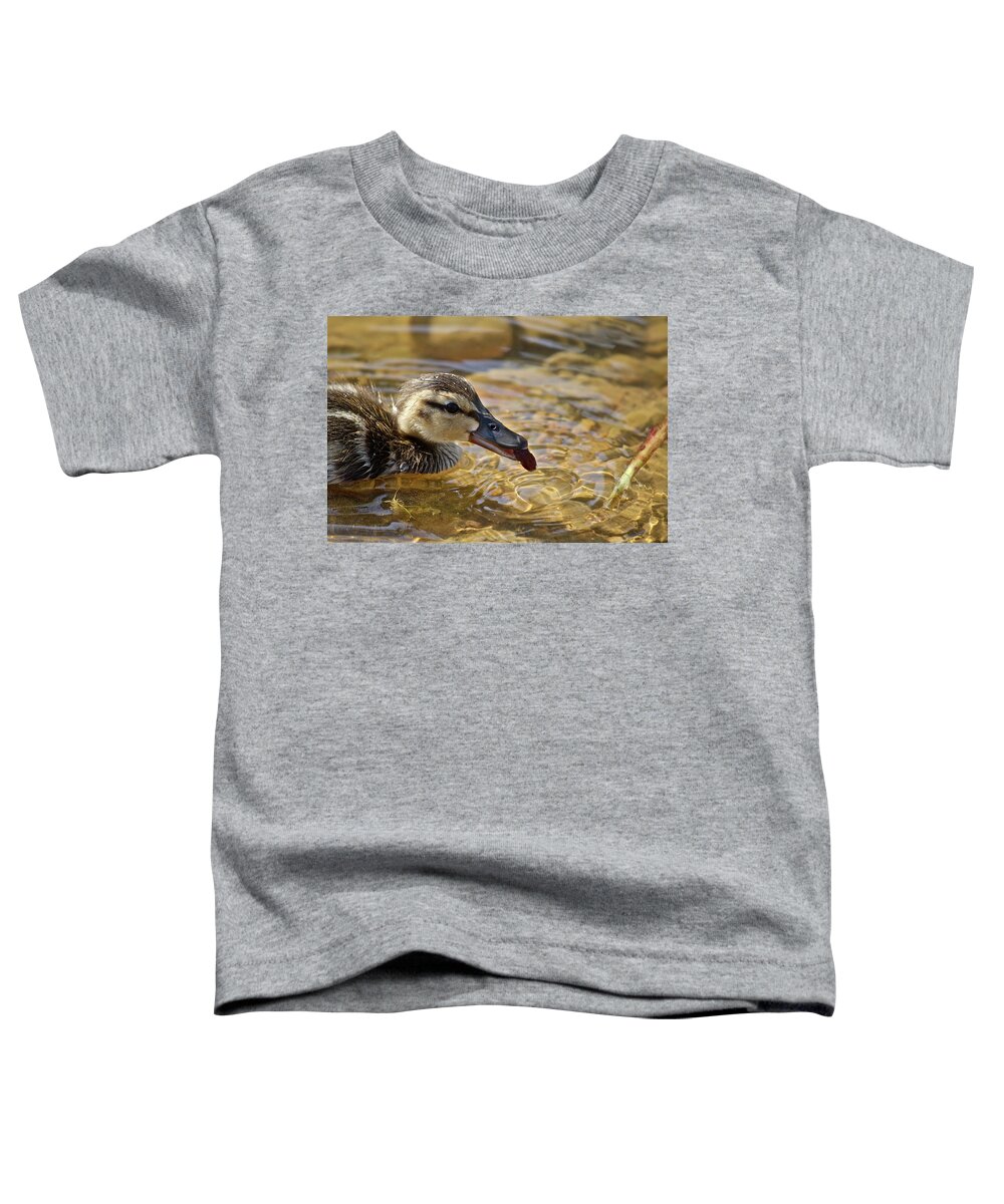 Birds Toddler T-Shirt featuring the photograph Baby Teal by Diana Hatcher