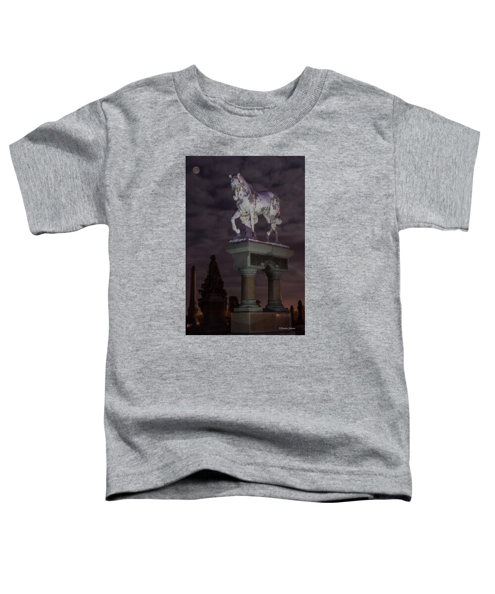 Riverside Cemetery Toddler T-Shirt featuring the photograph Baker Horse Under the Full Moon by Stephen Johnson
