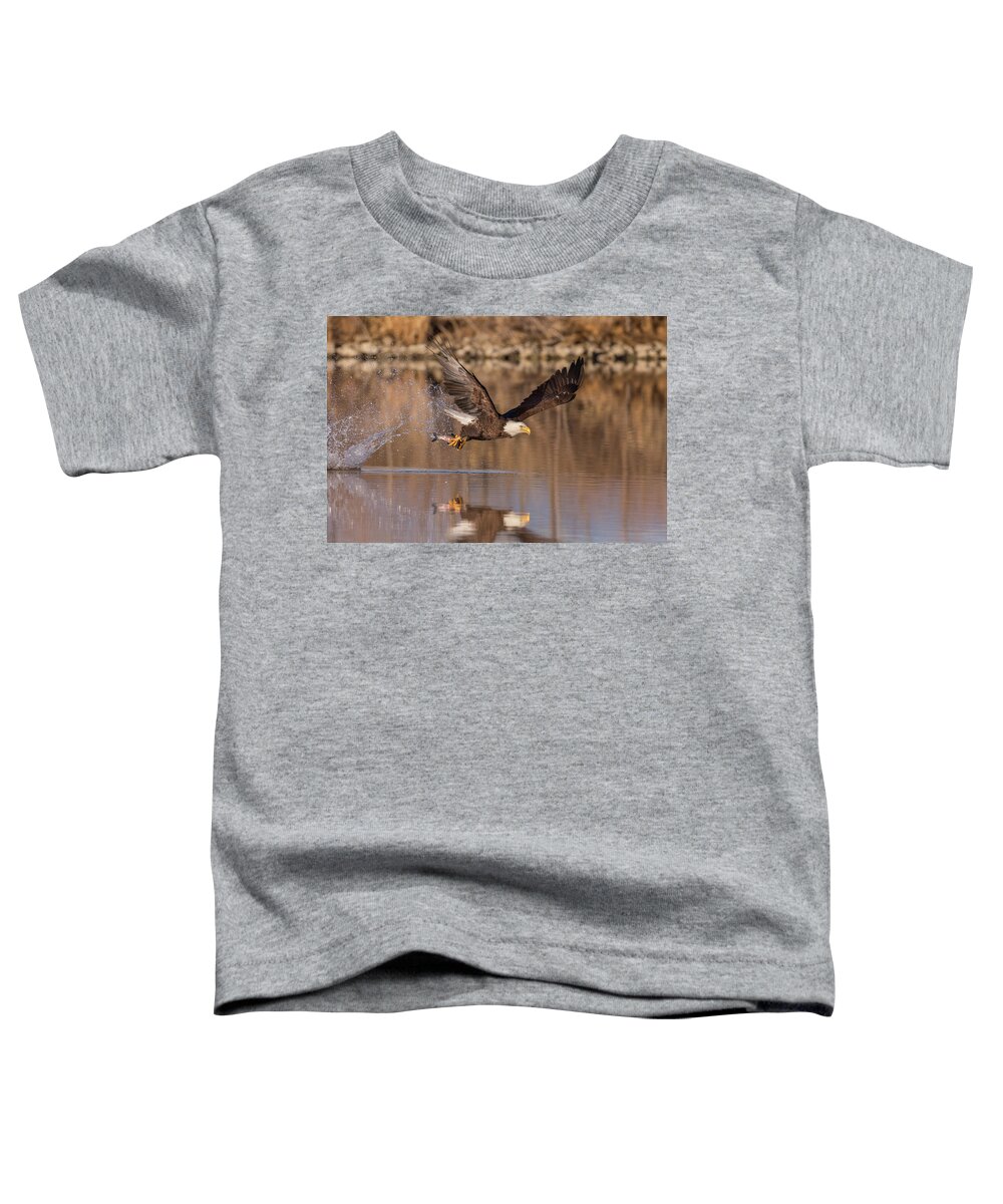 Bald Eagle Toddler T-Shirt featuring the photograph Bald Eagle Snags Breakfast by Tony Hake