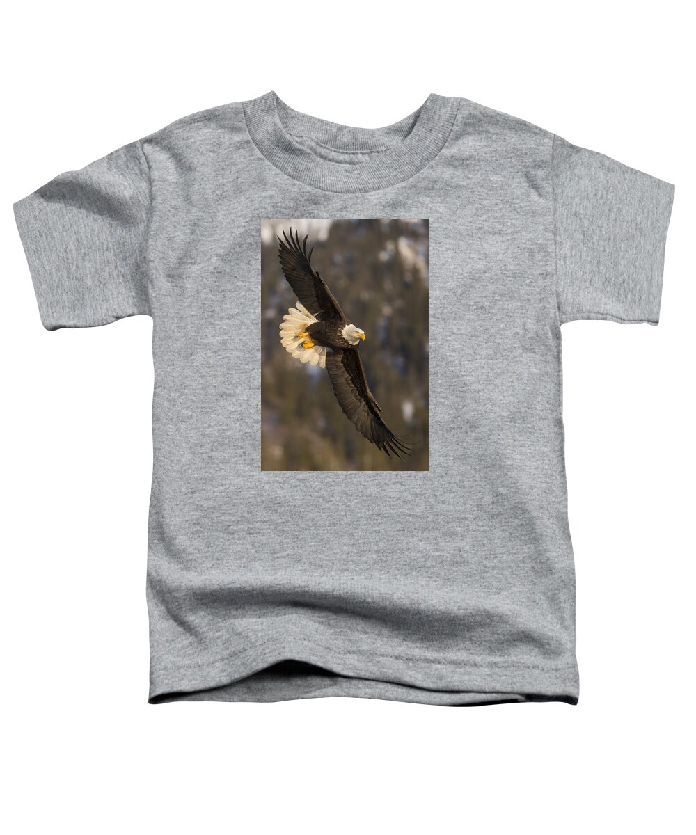 Alaska Toddler T-Shirt featuring the photograph Banking Bald Eagle by D Robert Franz
