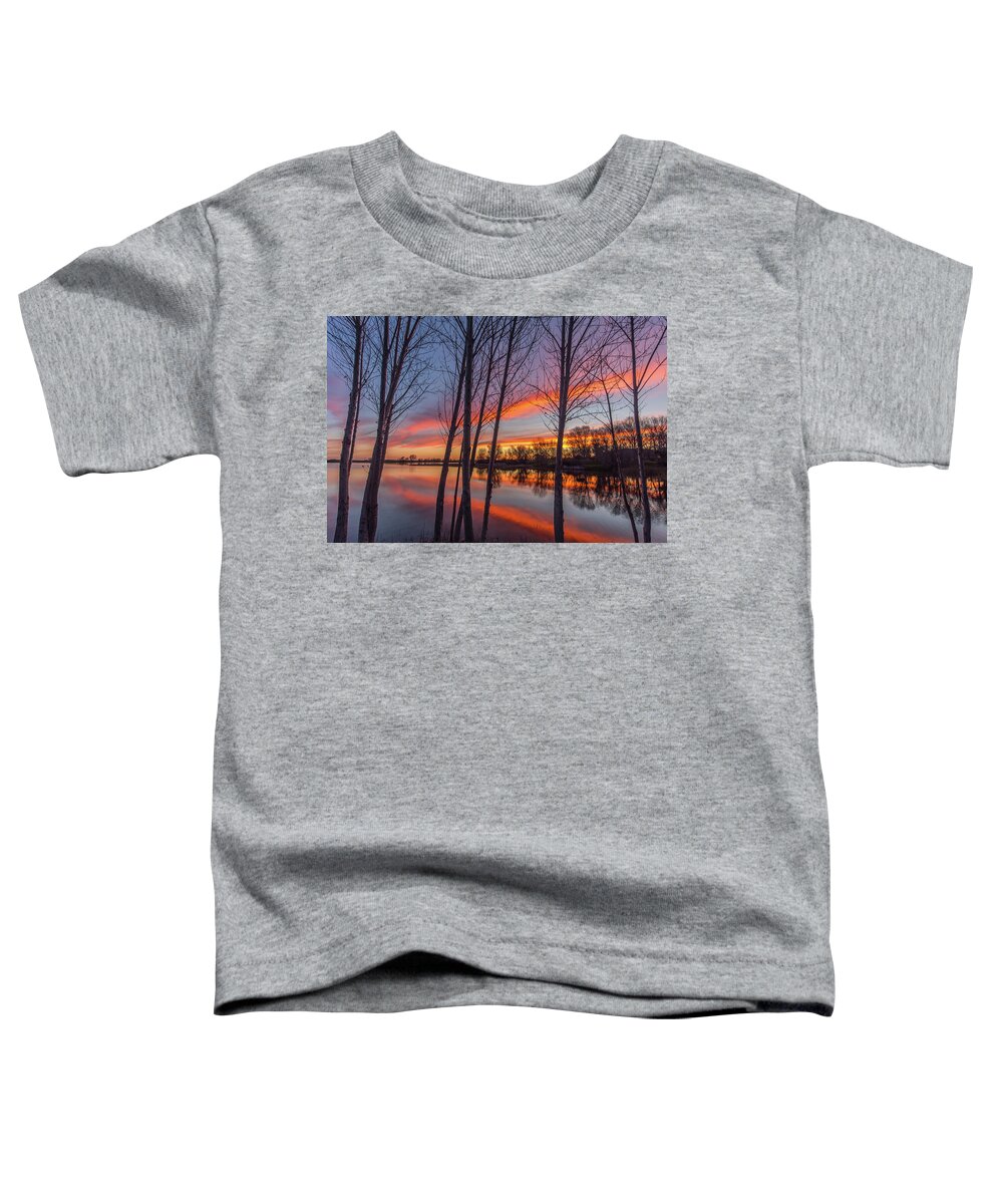 Landscape Toddler T-Shirt featuring the photograph Bare Trees at Sunrise by Marc Crumpler