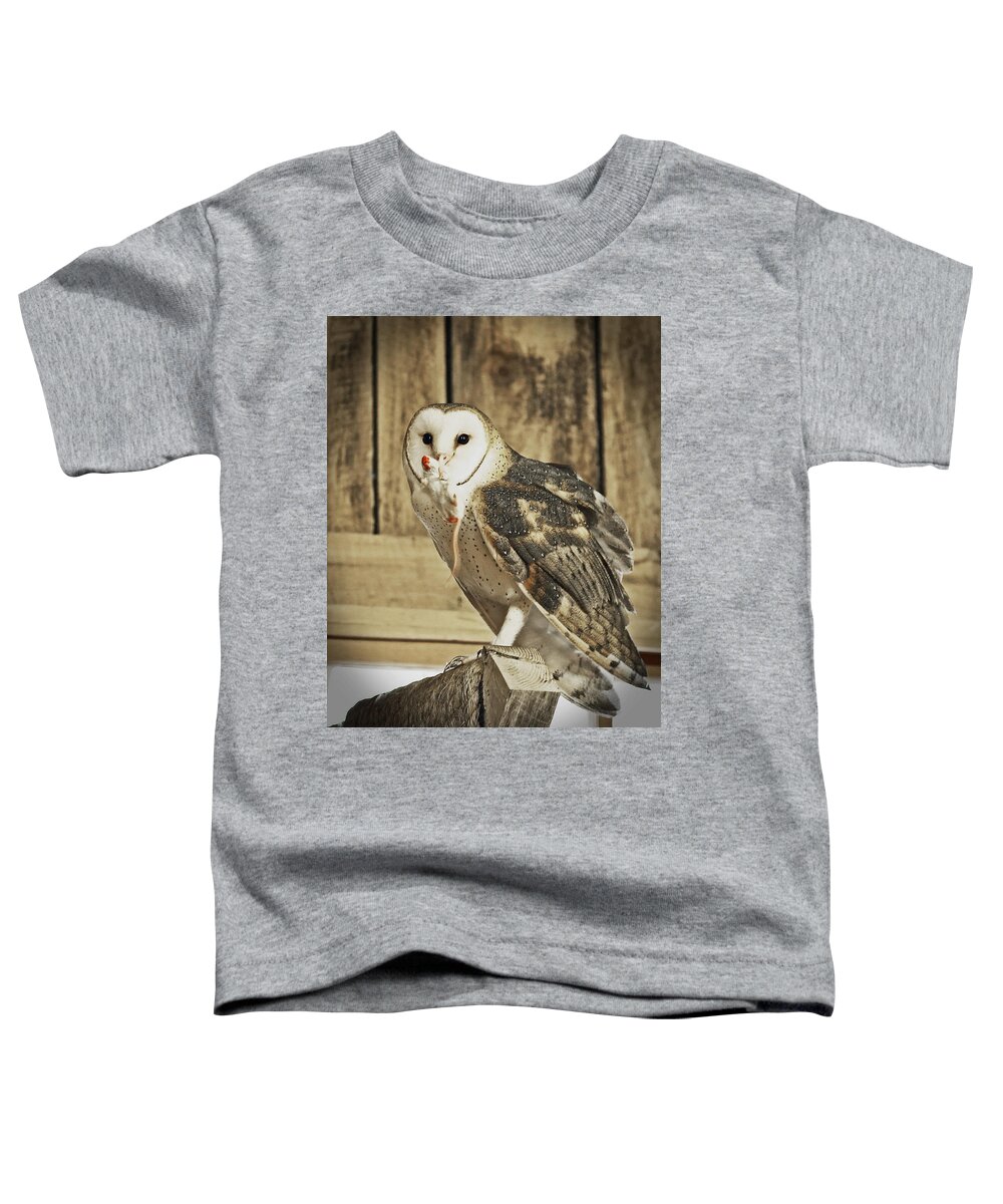 Nature Toddler T-Shirt featuring the photograph Barn Owl Dinner by Gina Fitzhugh