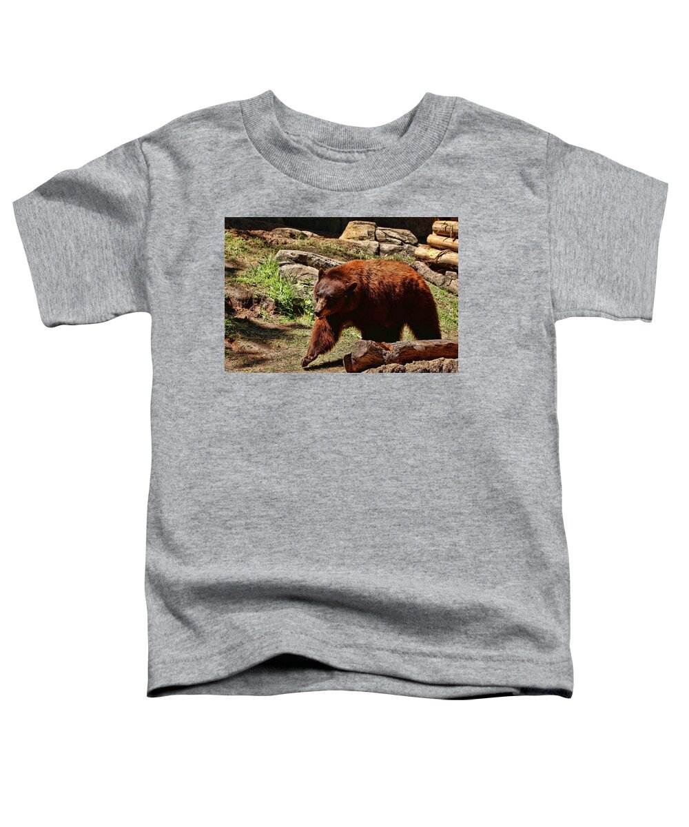 Bear Toddler T-Shirt featuring the photograph Bear Pacing by Judy Vincent