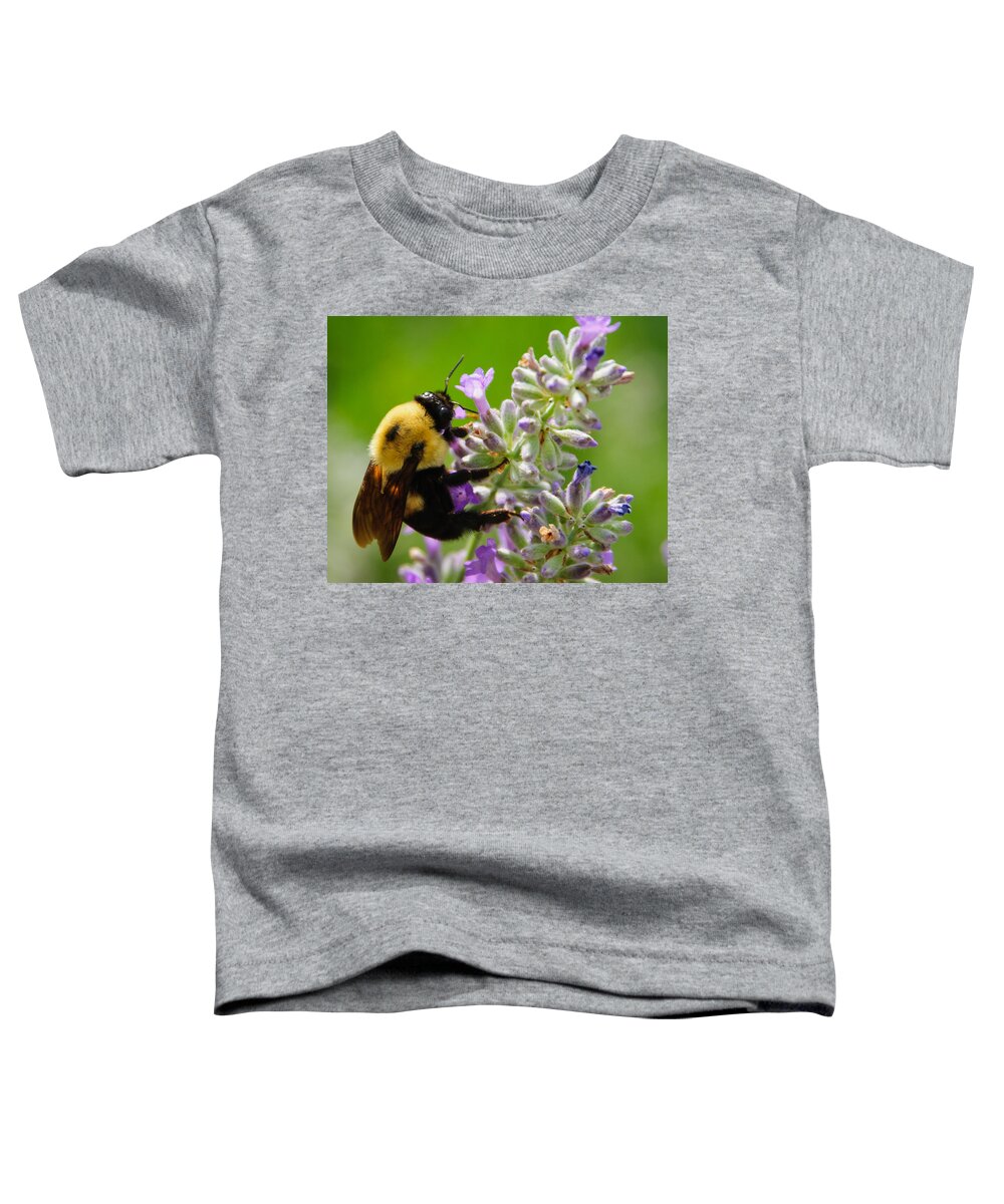 Bee Toddler T-Shirt featuring the photograph Bee Love by Roberta Kayne