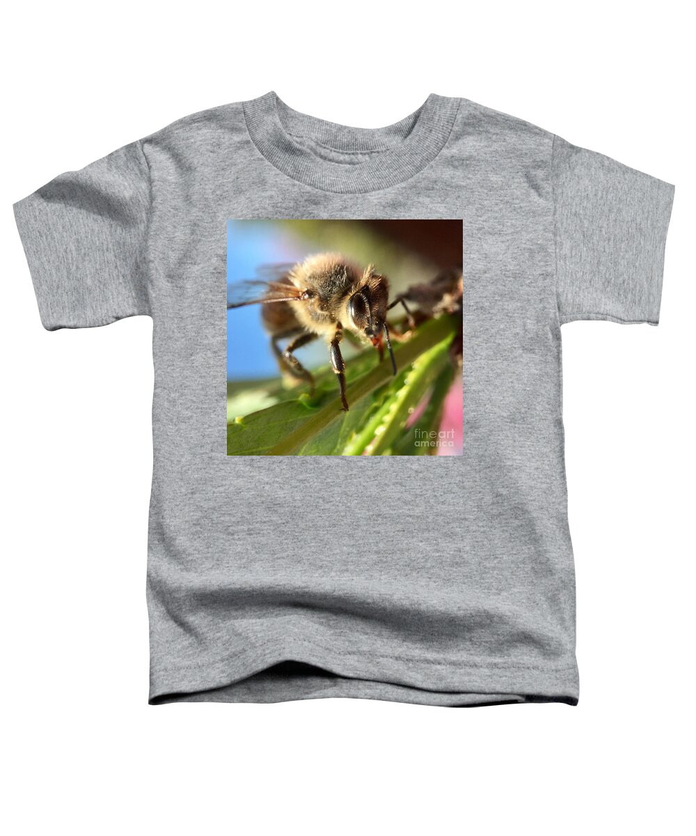 Bee Toddler T-Shirt featuring the photograph Spring Bee by Masha Batkova