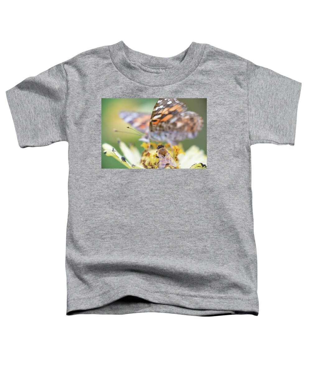 Proboscis Painted Lady Paintedlady Butterfly Butterflies Nature Outside Outdoors Insect Nature Natural Wild Life Wildlife Macro Closeup Close-up Ma Mass Massachusetts Wings Flower Botany Botanic Botanical Garden Gardening Bee Bees Apiary Toddler T-Shirt featuring the photograph Bee with Painted Lady Background by Brian Hale